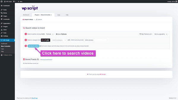 Search videos by keyword in WPS Mass Embedder