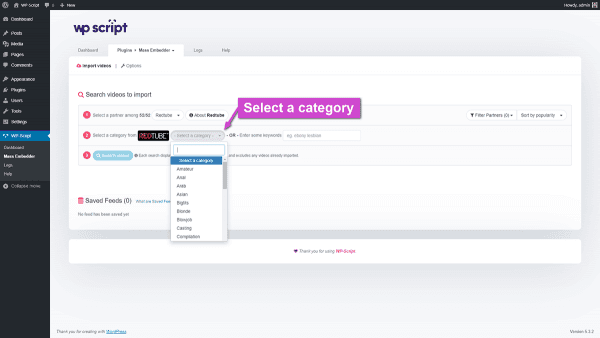 Select a niche category or keyword in WPS Mass Embedder