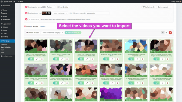 Select videos to import as WordPress posts