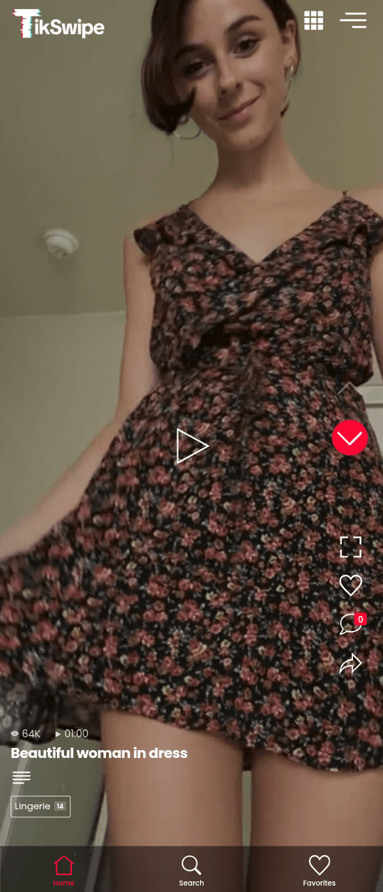 TikSwipe mobile view