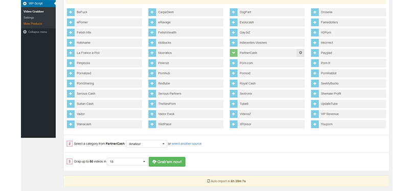 Create Adult Tubes with our Free WordPress Plugin and Theme - WP-Script