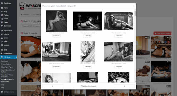 WPS Photos Downloader descarga fotos y crea galerías de chicas