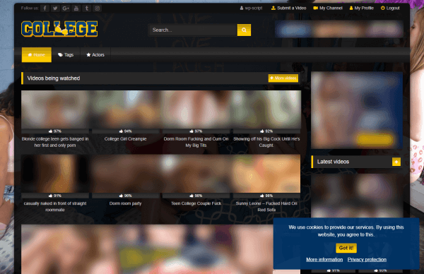 Example of Cookie Consent customization with RetroTube - College Niche