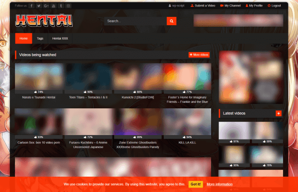 Example of Cookie Consent customization with RetroTube Theme - Hentai Niche