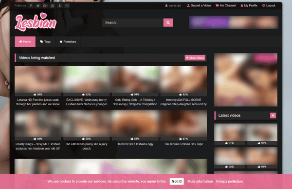 Example of Cookie Consent with RetroTube Theme - Lesbian Niche