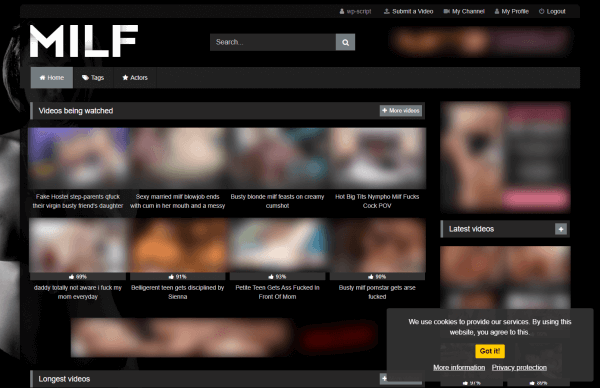 Example of Cookie Consent with RetroTube Theme - MILF Niche