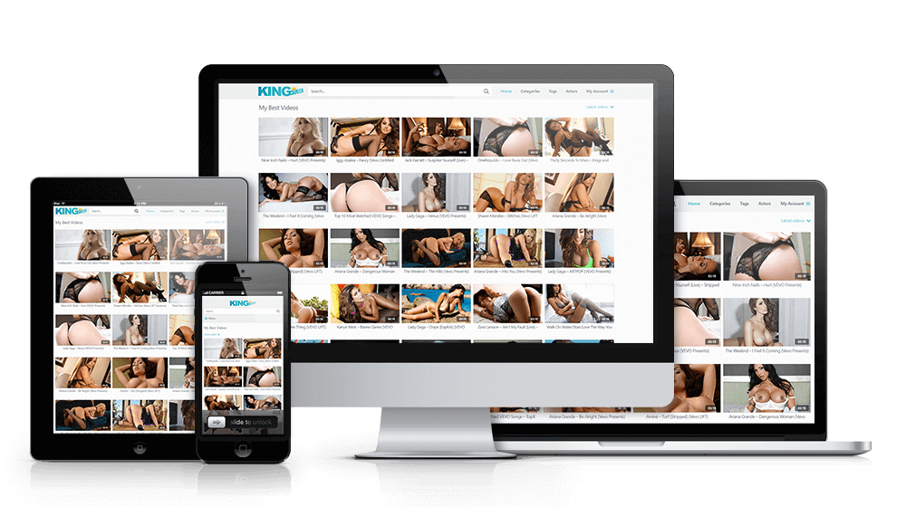 www.wp-script.com